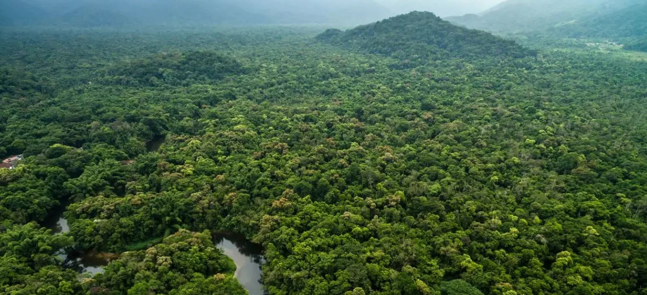 विश्व का सबसे घना जंगल अमेजन वन किस महाद्वीप में स्थित है?