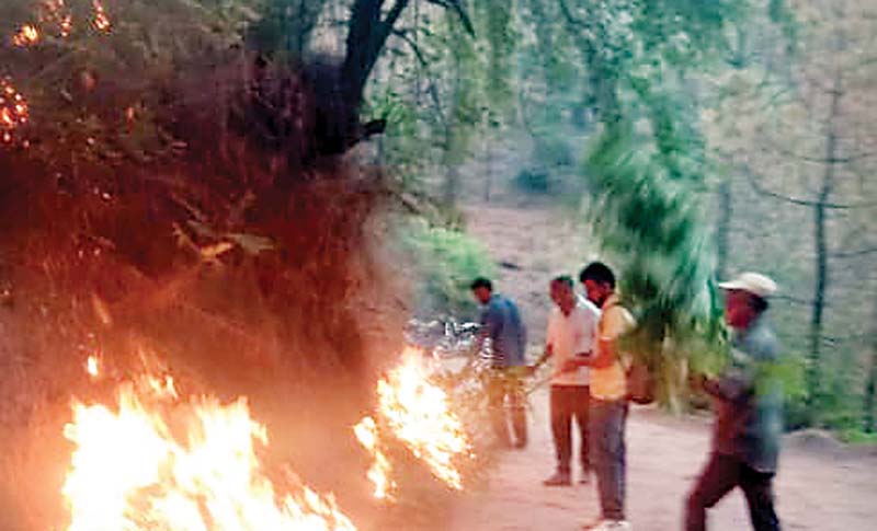 साधनाघाट में वन विभाग के कर्मियों ने आग से बचाया घर-गोशाला