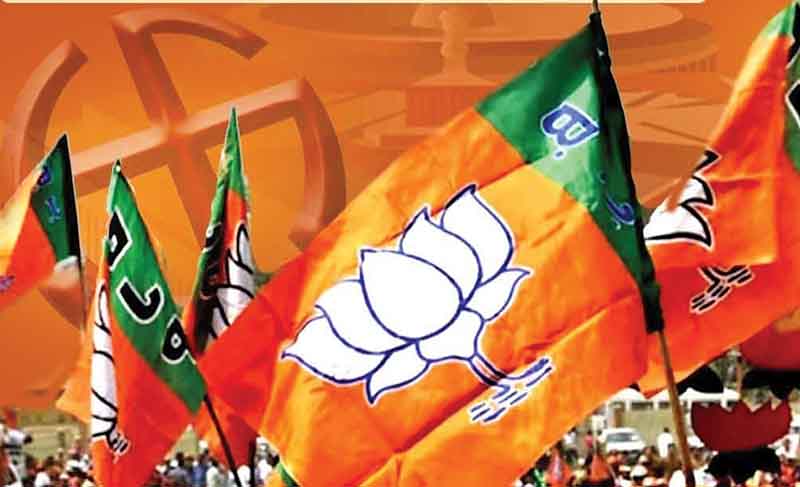 Loksabha Election: पंजाब में कभी भी तीन से ज्यादा लोकसभा सीटें नहीं जीत सकी BJP