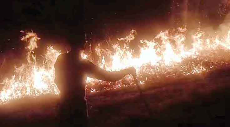 जुन्गा के खडक़ी धार और झंडी के जंगलों में भीष्ण आग