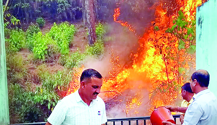 बलघाड़ स्कूल तक पहुंच गई जंगल की आग