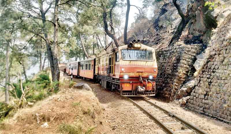 परवाणू में रेलवे ट्रैक तक पहुंची जंगल की आग