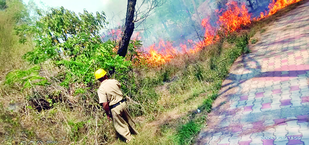 खेतों में लगाई आग पहुंच रही जंगलों तक, कर्मियों की मेहनत व्यर्थ