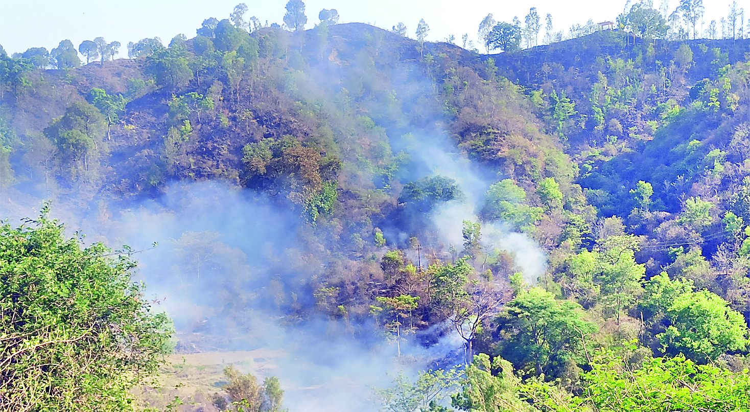 टीएमसी के पीछे की पहाड़ी पर भयंकर आग