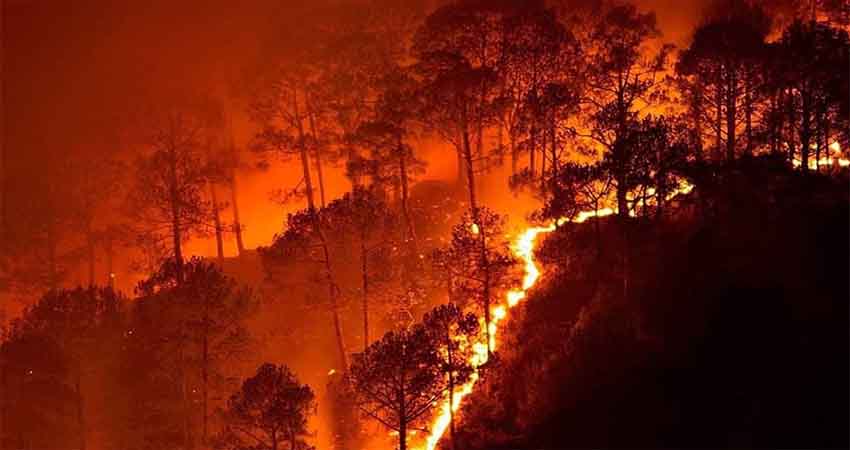 डून-कोटलू के जंगल में भडक़ी आग