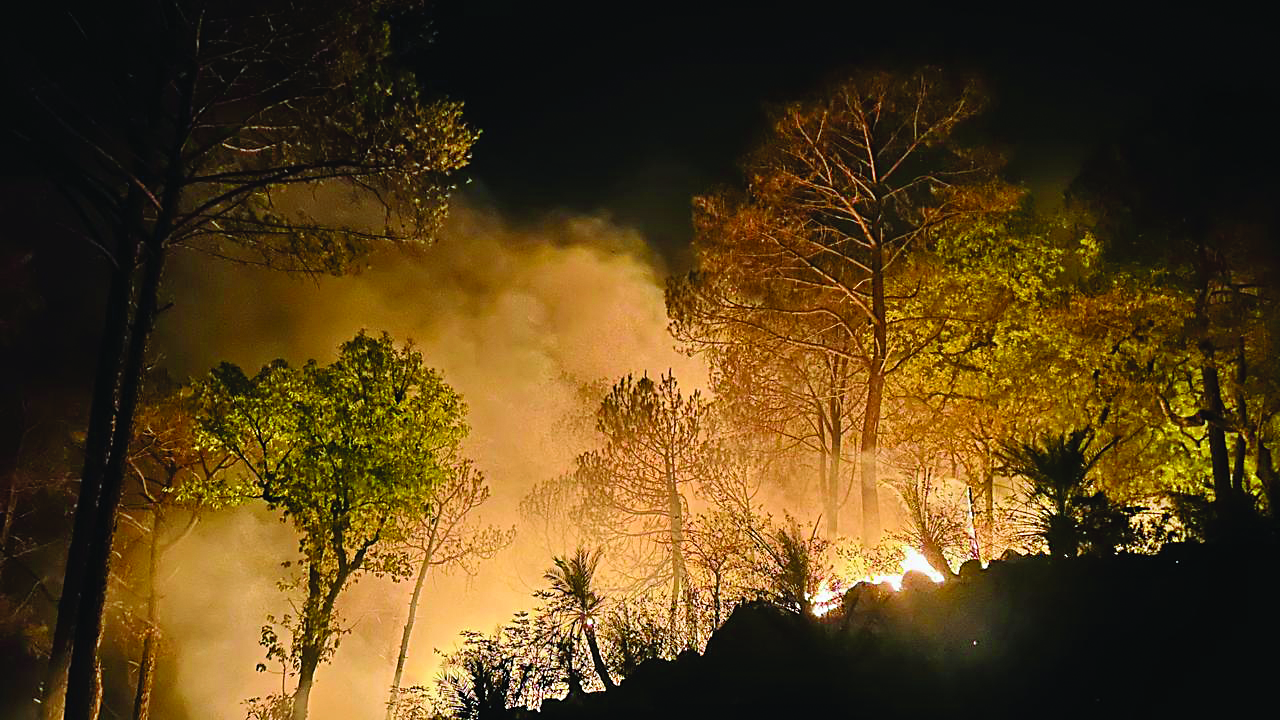 परौर के जंगल में लगी भयंकर आग, चारों तरफ धुआं ही धुआं