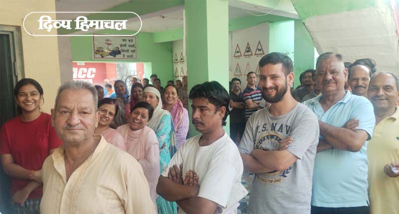 Himachal Election: धर्मशाला के बगली बूथ पर सबसे लंबी लाइन, बंपर वोटिंग की उम्मीद