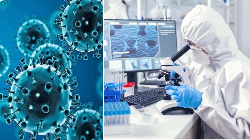 भारत में HMPV Virus की एंट्री! तीन बच्चे पाए गए संक्रमित, जानें कैसे फैलता है ये वायरस - Divya Himachal