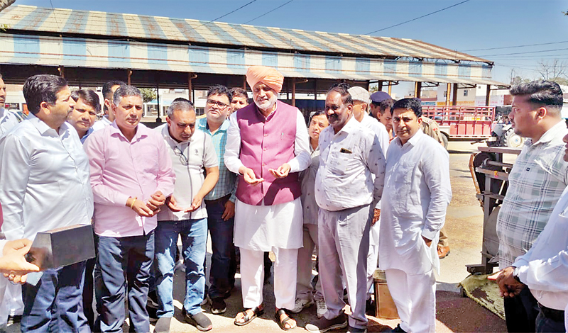 रादौर में सरसों खरीद का शुभारंभ, कृषि मंत्री बोले, न्यूनतम समर्थन मूल्य पर खरीदी जा रही ज्यादातर फसलें