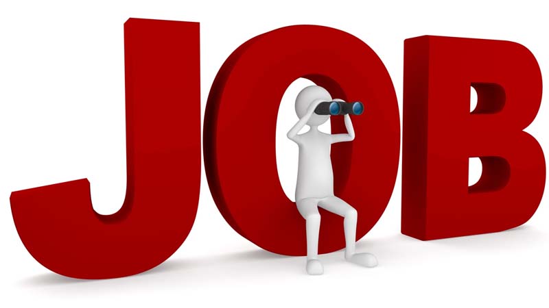 Govt Jobs: 13398 पदों पर निकली है भर्ती, जल्दी करें आवेदन, बस एक दिन है बाकी
