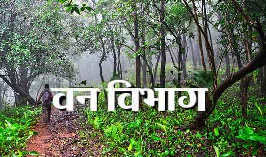 वन विभाग की आधारहीन चिंताएं