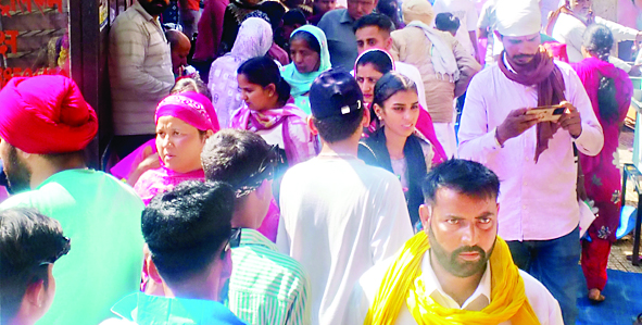 बाबा बालक नाथ मंदिर में एक माह में चढ़ा 8.39 करोड़ का चढ़ावा