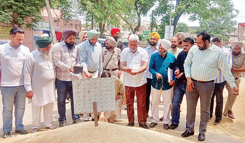 4.16 लाख मीट्रिक टन गेहूं की खरीद, खाद्य आपूर्ति मंत्री बोले, किसानों के खाते में 151 करोड़ का भुगतान
