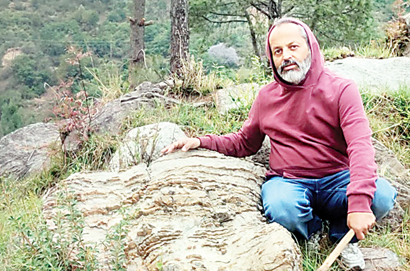 Stromatolite Fossil : सोलन के चंबाघाट में मिला 60 करोड़ साल पुराना स्ट्रोमैटोलाइट फॉसिल