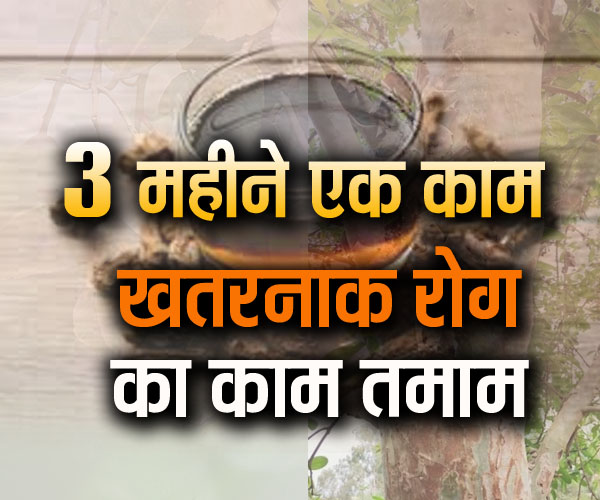नवंबर, दिसंबर और जनवरी, साल में 3 महीने कर लें यह काम, सबसे खतरनाक बिमारी खत्म