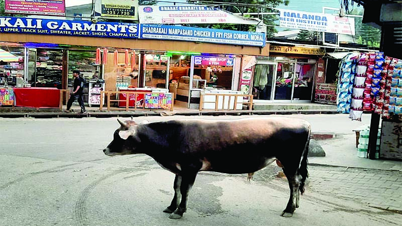 हर दिन डर के साए में छात्र