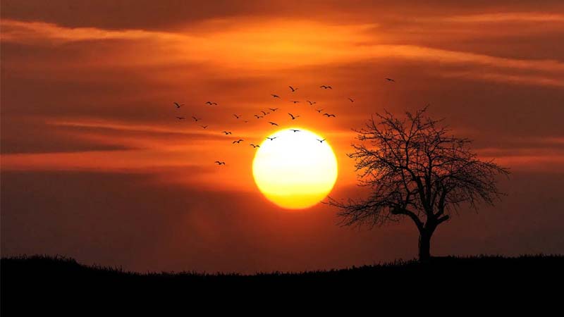 21 जून को ही क्यों होता है साल का सबसे लंबा दिन?, परछाई भी छोड़ देती है साथ, जानें कारण