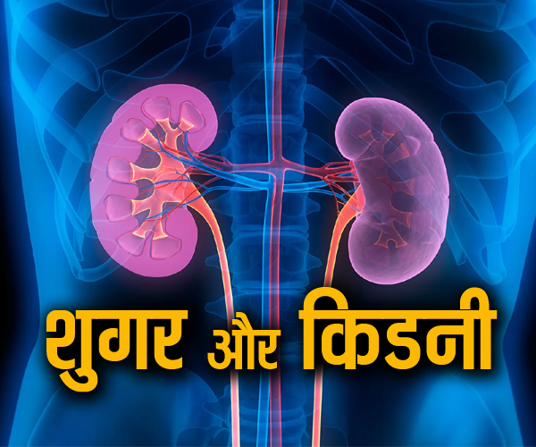 शुगर के मरीज ऐसे रखें अपनी किडनी का ख्याल