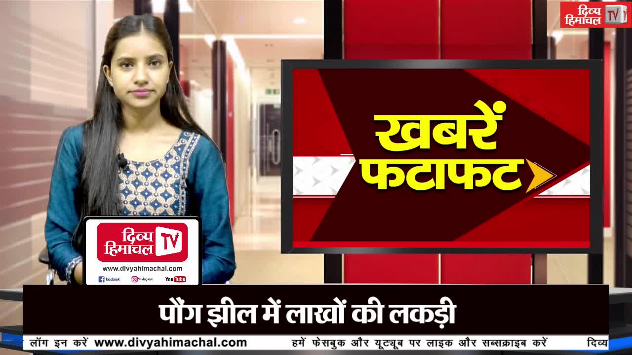दिव्य हिमाचल ख़बरें फटाफट