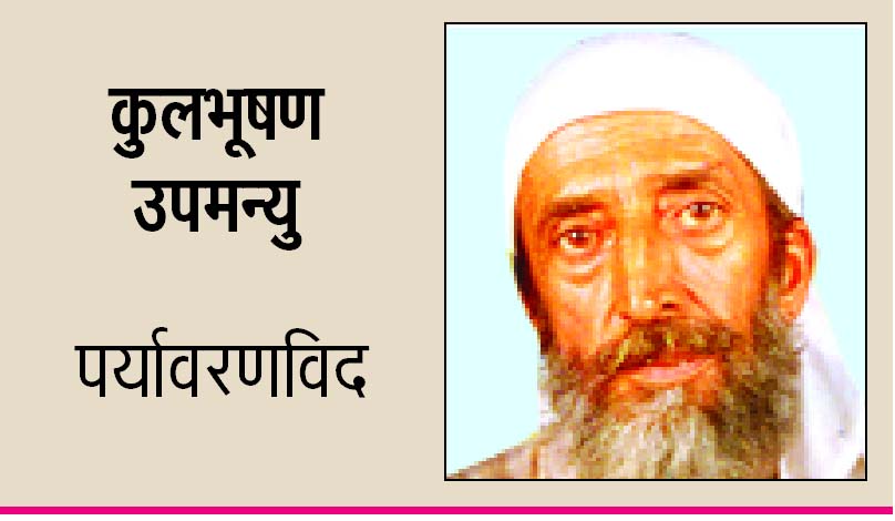 हिमालय की वेदना और उपभोक्तावाद की दौड़