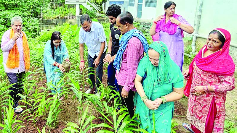 चौंतरा से एक पौधा बेटी के नाम अभियान की शुरूआत