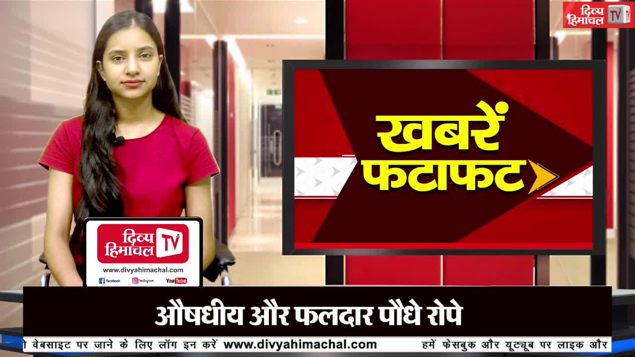 दिव्य हिमाचल खबरें फटाफट