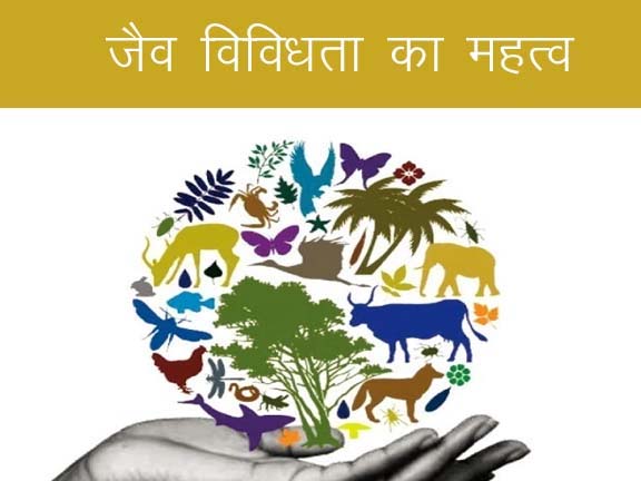 पश्चिमी हिमालय में जैव विविधता का महत्त्व