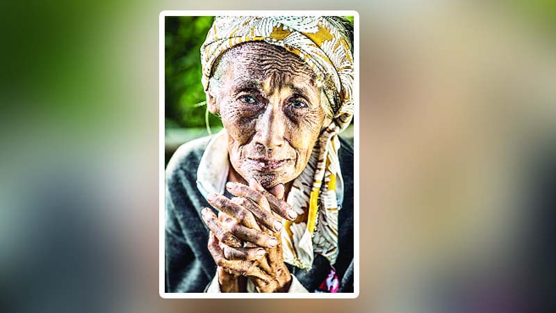 कहानी की तलाश में हिमाचल : दरवाजे