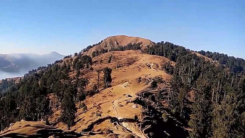 बसोदन दर्रा हिमाचल के किस जिला में है?