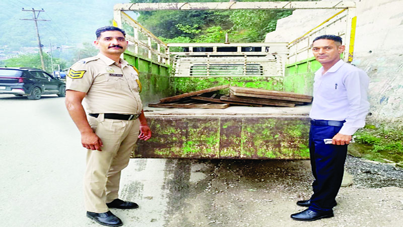 जंगल से मिले सात लोहे के जाले