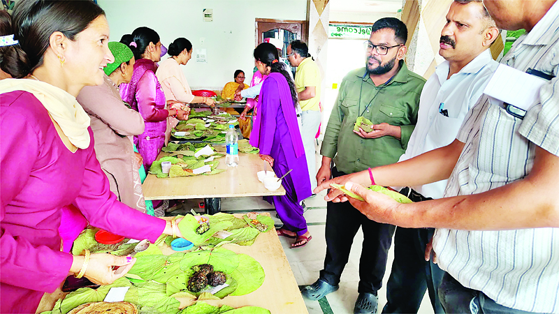 पद्धर में सजा देसी बीज फूड फेस्टिवल