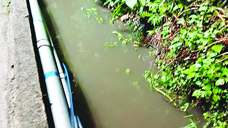 ओवरफ्लो नालियां से घरों में घुसा पानी