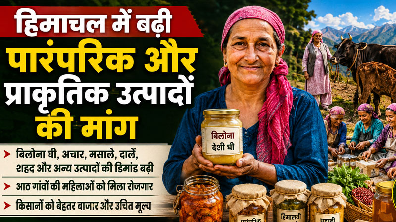 बिलोना विधि से तैयार देशी घी और हिमाचल की ग्रामीण महिलाएं प्राकृतिक उत्पाद बनाते हुए