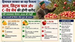 हिमाचल में C-ग्रेड सेब, आम और सिट्रस फलों की सरकारी खरीद को मंजूरी, जानें पूरी योजना