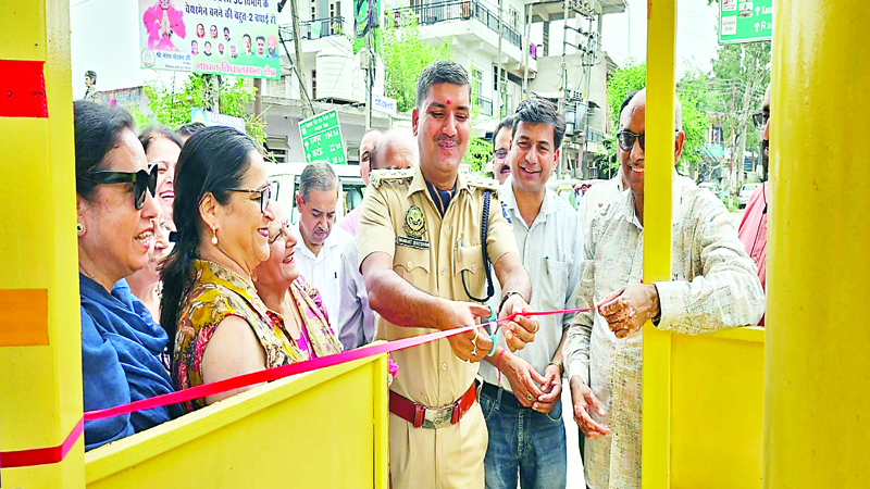 धनोटू में रोटरी चौक का लोकार्पण