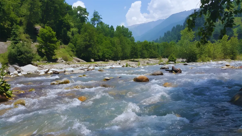 हिमाचल प्रदेश की कौन सी नदी को जीवन रेखा कहा जाता है ?