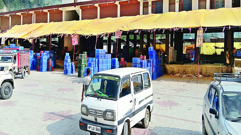 न पेटियों के ढेर, न गाडिय़ों की कतारें….फीका पड़ा सेब सीजन