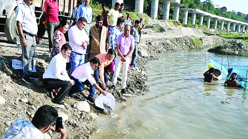 गोबिंदसागर में डाला कतला, सिल्वर कार्प का बीज